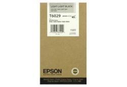 Epson C13T602900 (T6029) Original, doppelter, heller Schwarzton.