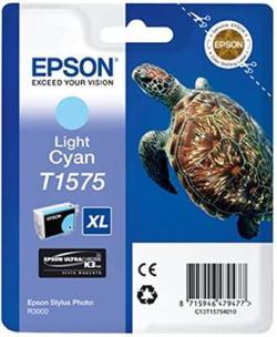 Epson C13T15754010 (T1575) Outdoor Blue Açık Card