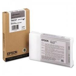 Epson C13T603700 (T6037) Açık Siyah Orjinal Kartuş