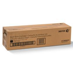Xerox 013R00657 Siyah Orjinal Drum Ünitesi - WorkC