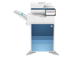 HP Color LaserJet Managed (5QJ90A) MFP E786dn Renk