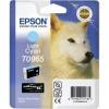 Epson C13T09654020 (T0965) Light Cyan Original Ink - Photo R2880 (Ex)