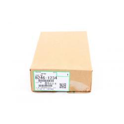 Ricoh B246-1234 Hinteres Ozonfilter - MP6000