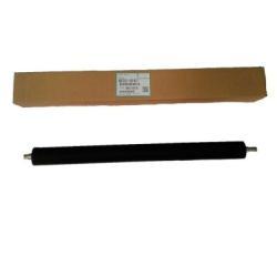 Ricoh AE020161 Druckwalze - 1022ZCARTKEEP0002ZXQ