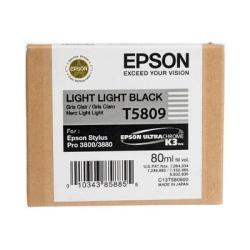 Epson C13T580900 (T5809) Duble Açık Siyah Orjinal