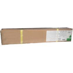 Ricoh 841988 Grüne Plotterpatrone – L4130 / L4160