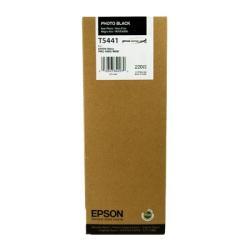 Epson C13T544100 (T5441) Original Foto Schwarz Tintenpatrone.