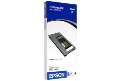 Epson C13T549100 (T5491) Schwarze Originalpatrone - Standard.