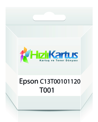 Epson C13T00101120 (T001) Farb-Inkjet-Kartusche