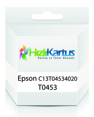 Epson C13T04534020 (T0453)