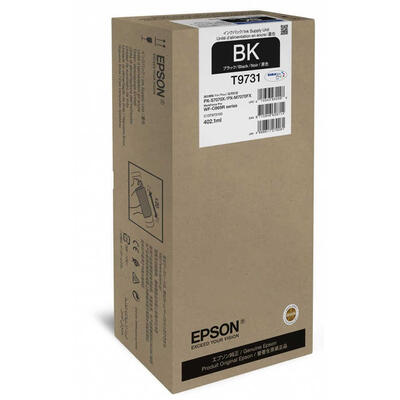 Epson C13T973100 (T9731) XL Siyah Orjinal Kartuş W