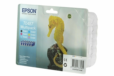 Epson C13T04874020 (T0487) Orjinal Set Kartuş - St
