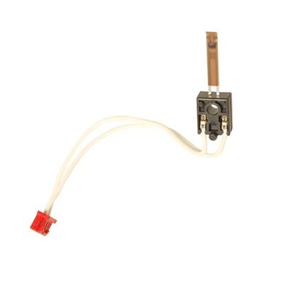 Ricoh AW10-0112 Fuser Thermistor - MP3500 / MP4500