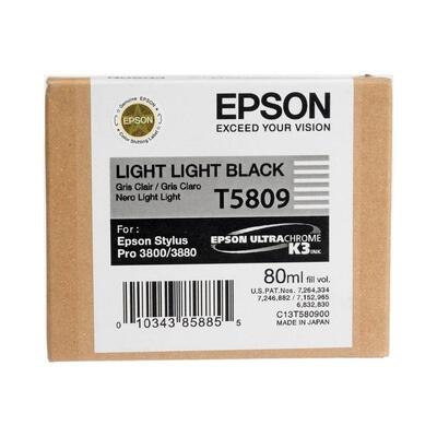 Epson C13T580900 (T5809) Schwarz Açık