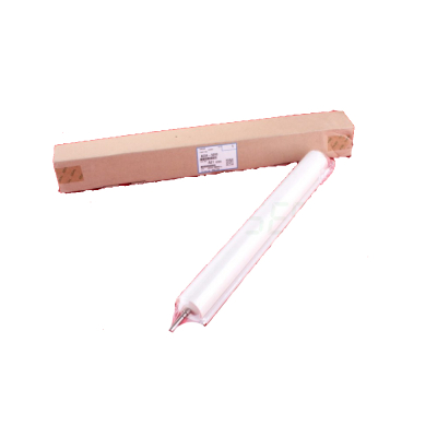 Ricoh AE04-5099 Fuser Reinigung Web