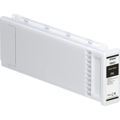 Epson C13T800000 (T8000) Light Gray Original Cartridge - SC-P10000