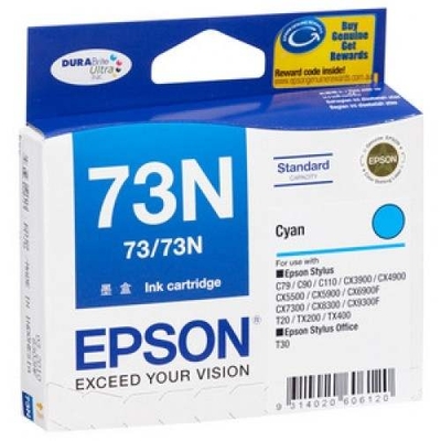 EPSON C13T105290 (73N) BlueART Tintenkarte